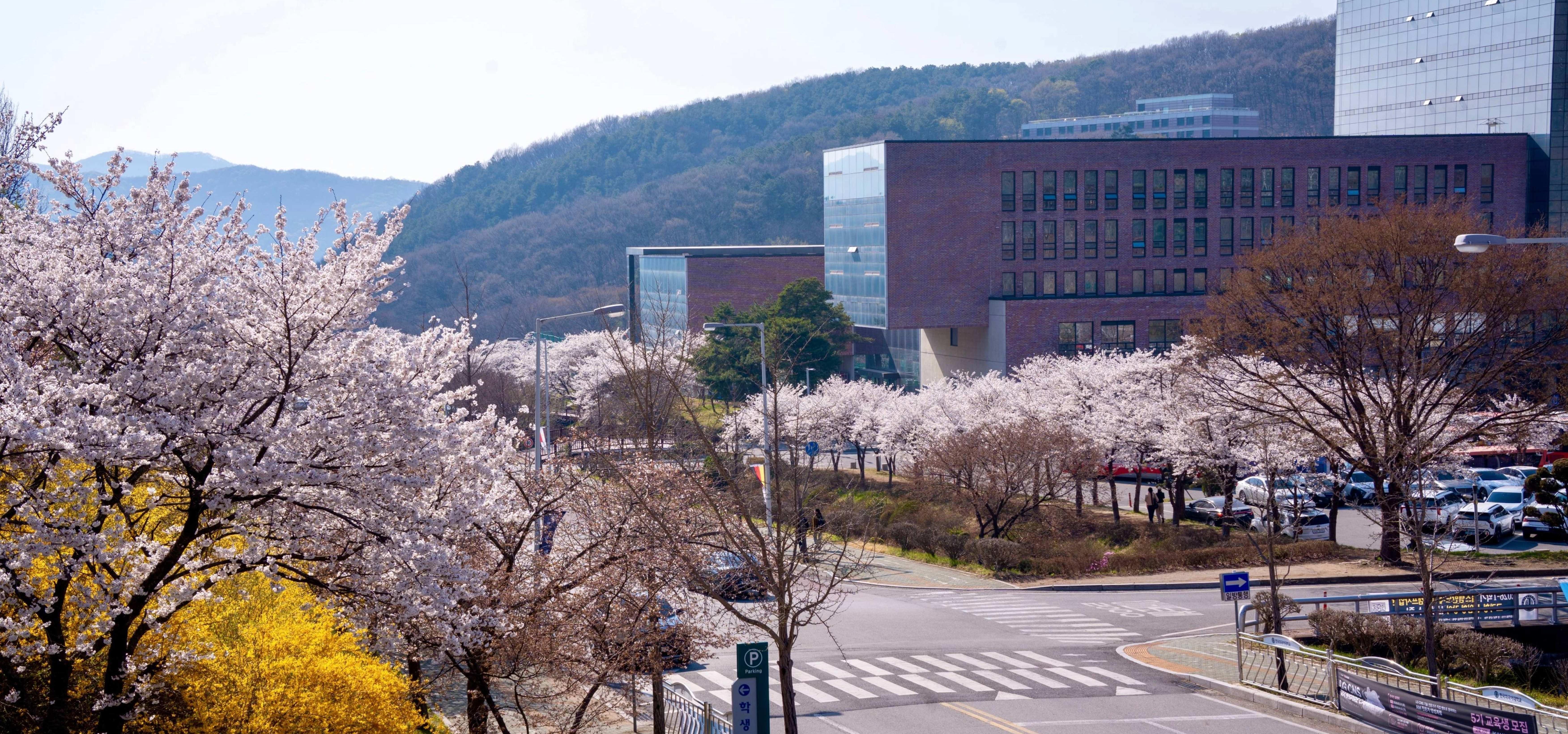 학교